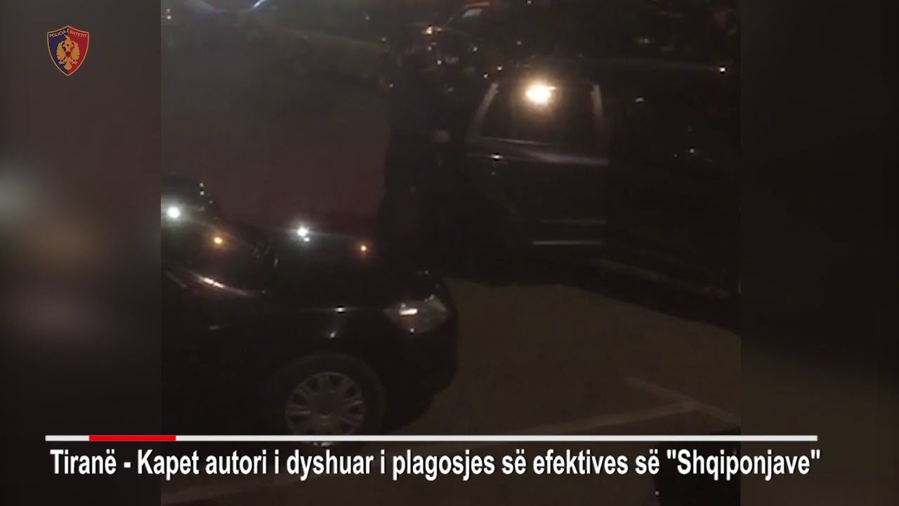 Arrestohet 18-vjeçari i dyshuar qe plagosi ne duar policen Ina