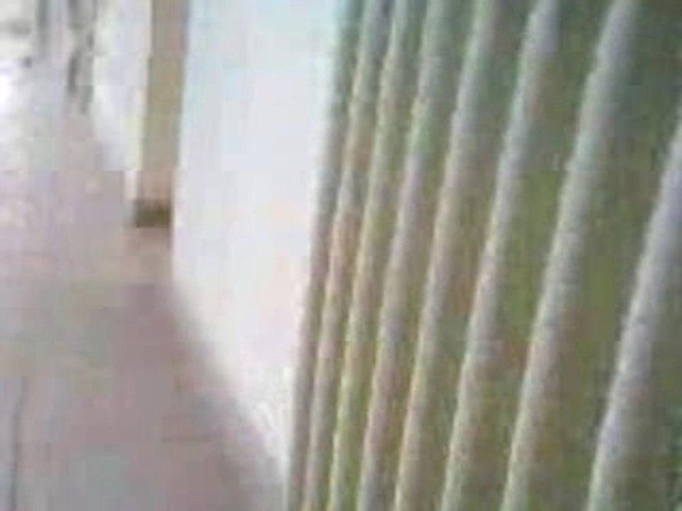 SV_A0044