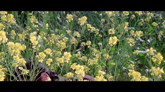 Chun Liya main tumhe 4K video HD song_HD