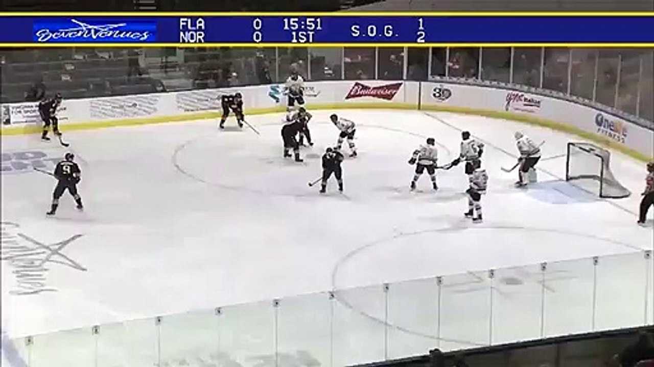 ECHL Florida Everblades 3 at Norfolk Admirals 1
