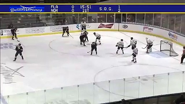 ECHL Florida Everblades 3 at Norfolk Admirals 1