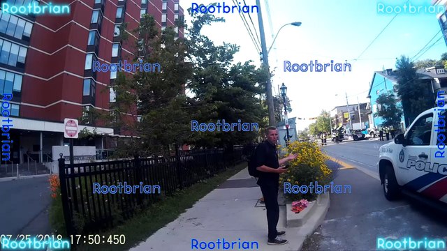 Texting and driving kills - Fatal distraction! - July 25 2018 - Roncesvalles few blocks north of queen