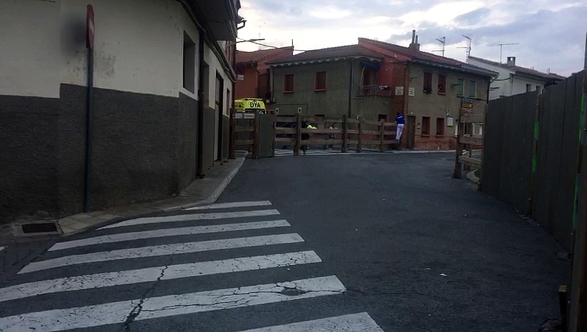 ⁣La primera de sus carreras: los toros de Merino enfilan el encierrillo de Sangüesa