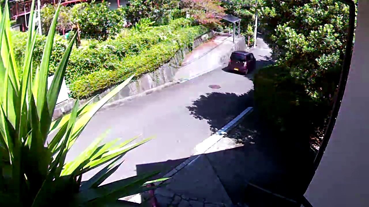 EDR September #9 2018 unfamiliar cars