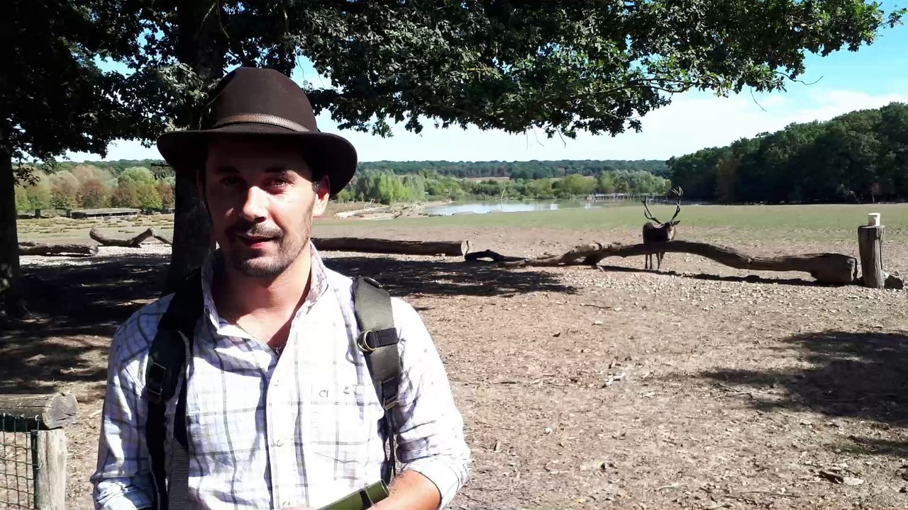 Virgile Parpinelli - Champion D'Europe 2018 D'imitation Du Brame Du Cerf - HIRES