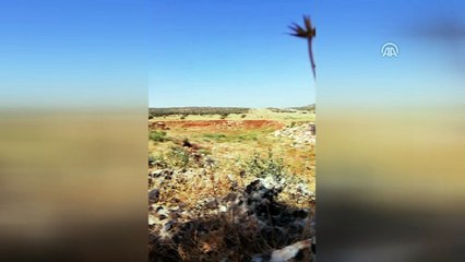 İdil'de yol kenarına tuzaklanan el yapımı patlayıcı imha edildi - ŞIRNAK