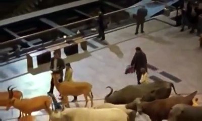 Josephine, ange gardien S3E3 FRENCH   Part 03