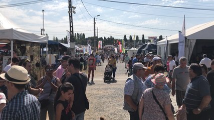 Un aperçu de la Foire de Béré 2018