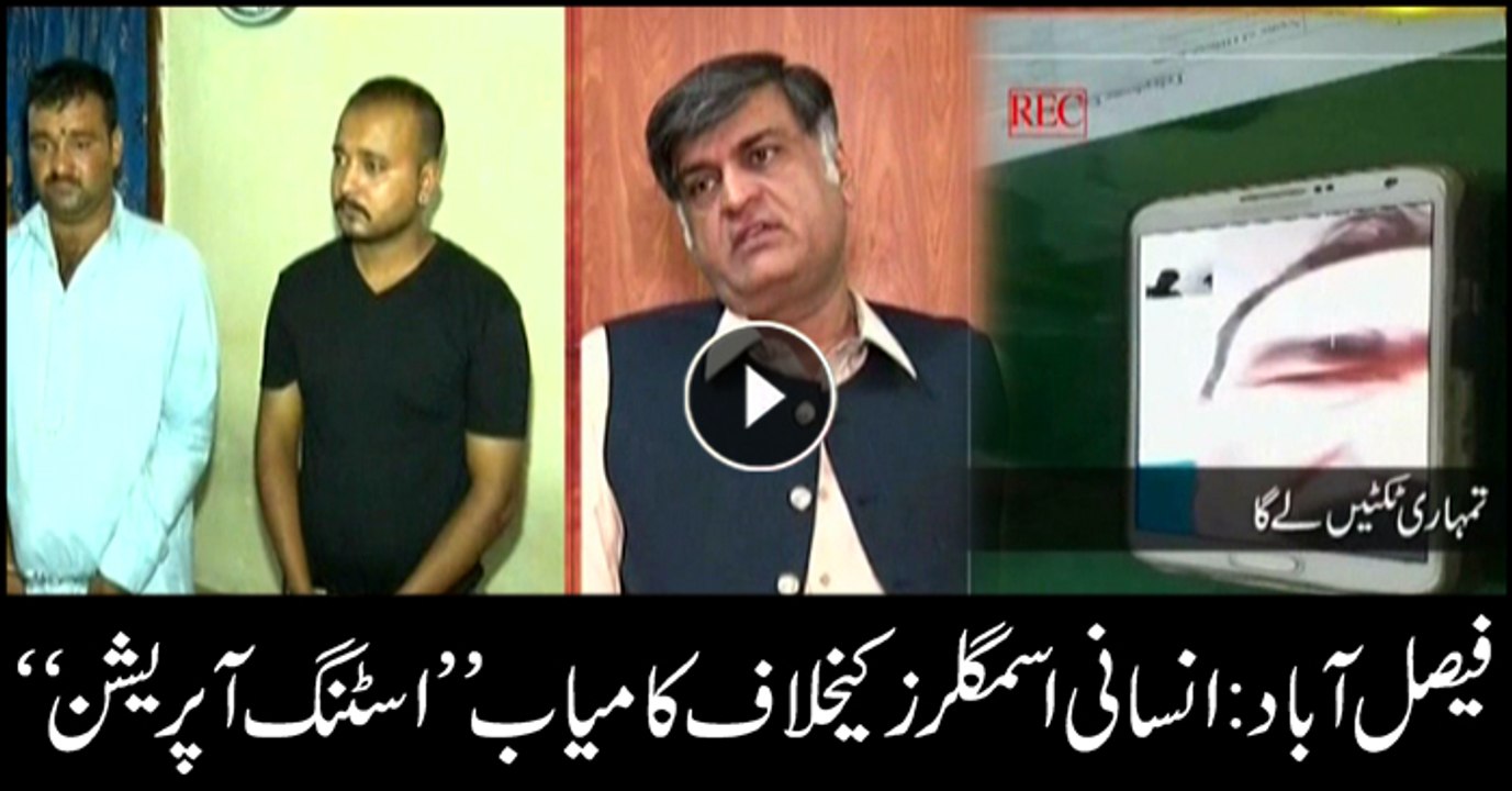 Organised network of criminals involved in human smuggling busted