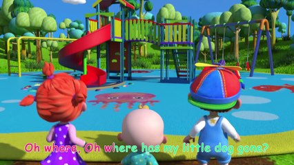 Where Has My Little Dog Gone- - Cocomelon (ABCkidTV) Nursery Rhymes - Copy