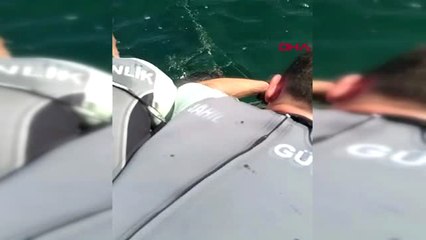 Çanakkale Ağlara Takılan Deniz Kaplumbağasını Sahil Güvenlik Kurtardı