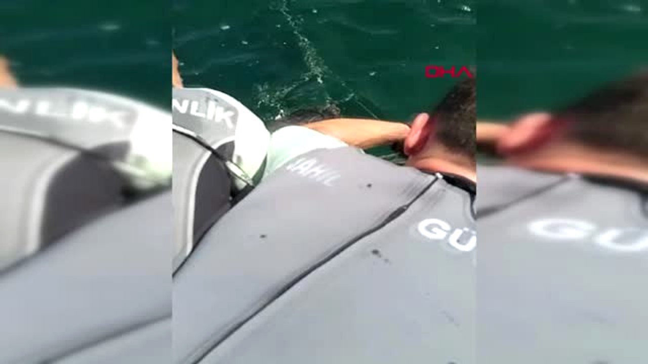 Çanakkale Ağlara Takılan Deniz Kaplumbağasını Sahil Güvenlik Kurtardı