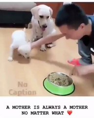 Mother is always a mother no matter.