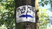 Waldschützer gegen RWE im Hambacher Forst