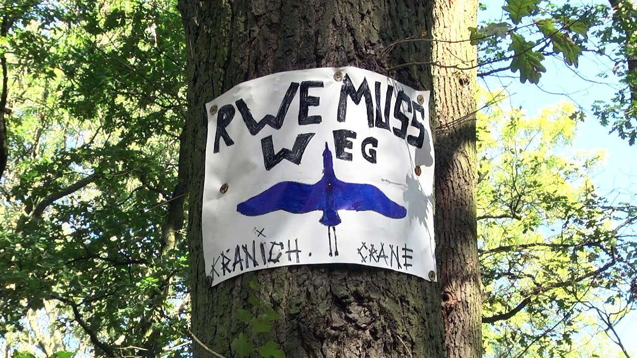 Waldschützer gegen RWE im Hambacher Forst