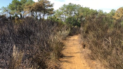 1,5 ha de bois part en fumée