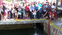 Bodrum'da 35 bin levrek yavrusu denize bırakıldı - MUĞLA