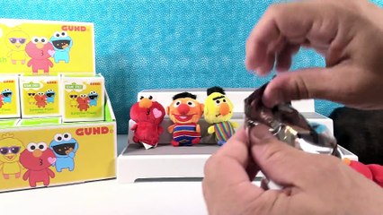 Sesame Street Surprise Plush Blind Box Opening Toy Review _ PSToyReviews
