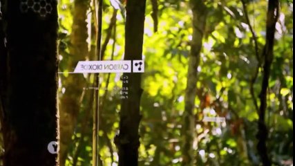 Earth A New Wild S01 - Ep02 Plains -. Part 02 HD Watch