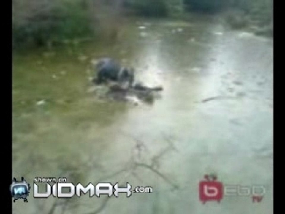 regis se fait tacler