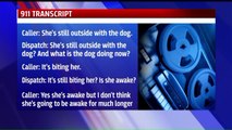 Woman Hospitalized After Hew Own Dog Mauls Her