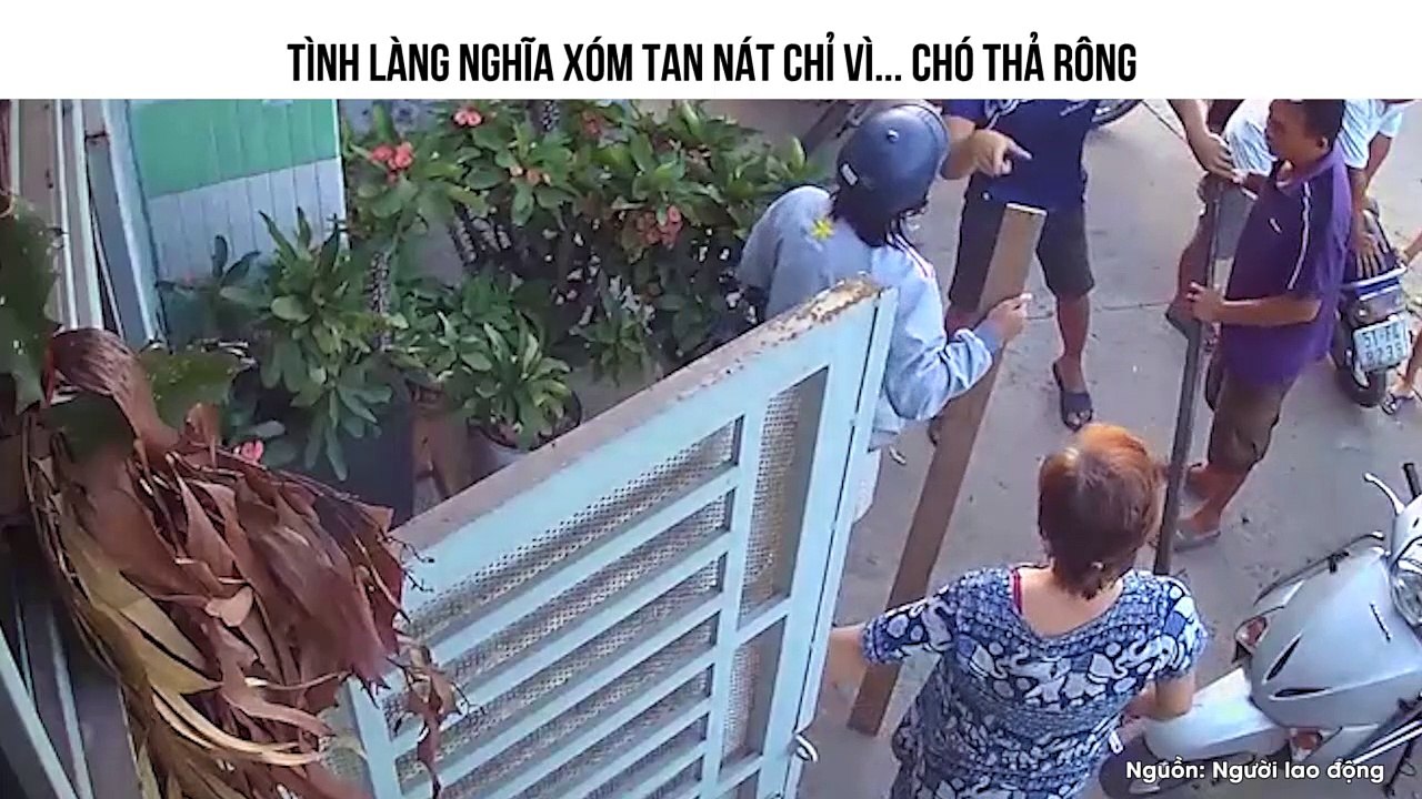 TÌNH LÀNG NGHĨA XÓM TAN NÁT CHỈ VÌ... CHÓ THẢ RÔNG