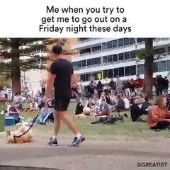 Me when you try to get me to go out on a Friday night these days