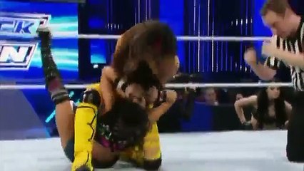 WWE S AJ Lee (w/Paige) vs Brie Bella