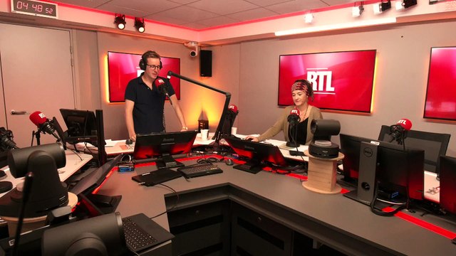 Arctique : la croisière de luxe pour observer les ours a tourné court