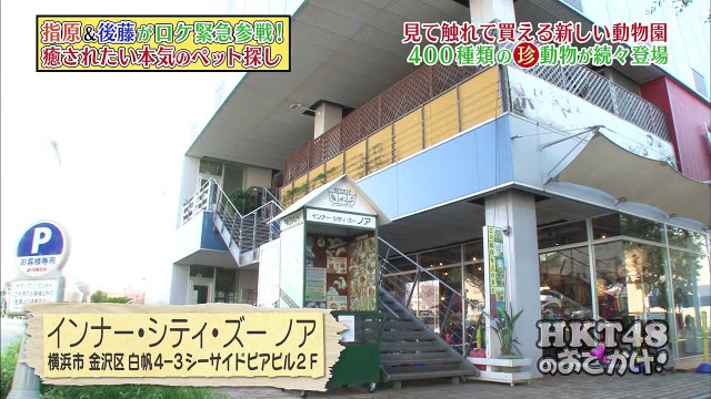 150923 HKT48 no Odekake! ep135