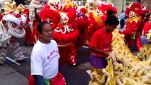 ROJO tradiciones animales alimentos colores (DM)