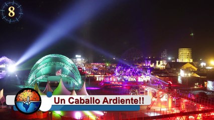 España única historia tradición el colacho las luminarias (DM)