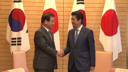 서훈, 아베 예방..."한반도 비핵화에 한일 협력 중요" / YTN