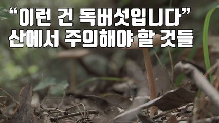 [자막뉴스] "이런 건 독버섯입니다" 산에서 주의해야 할 것들 / YTN