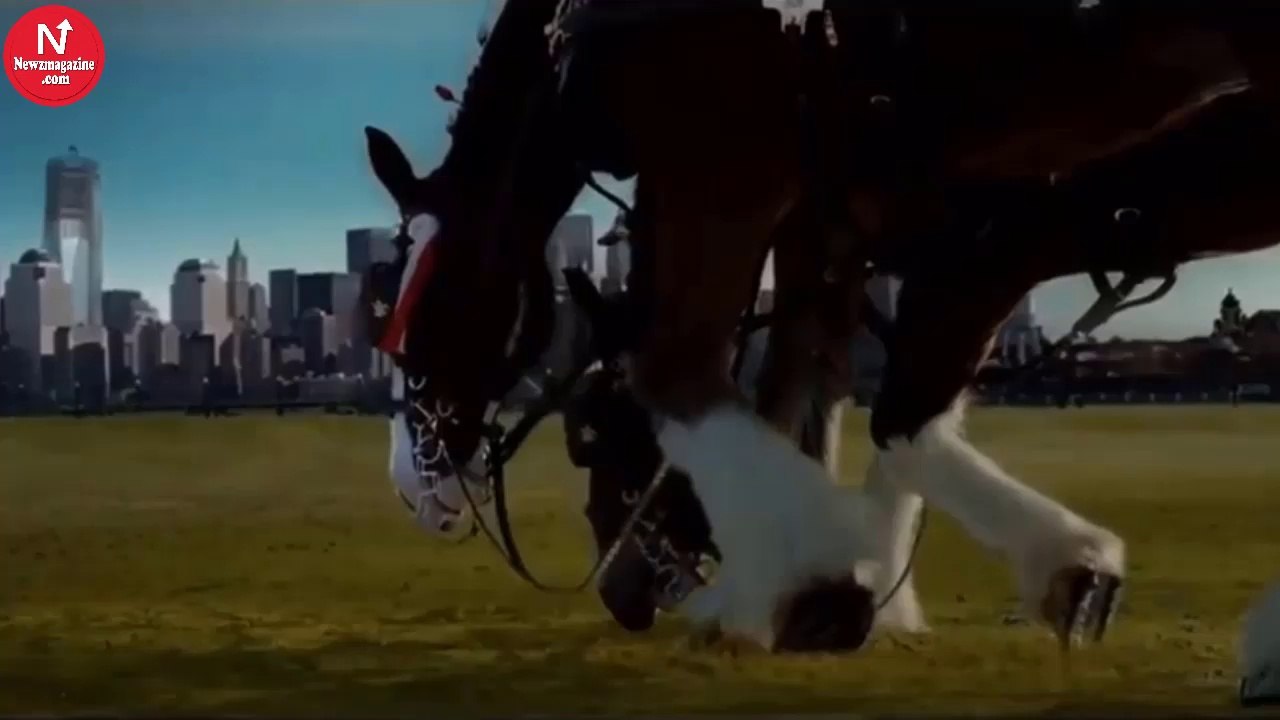 This Emotional Commercial Only Aired Once Before It Was Pulled Off The Air – Watch It Here