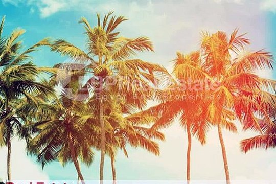 شاليه يرى البحر فى بالى الساحل الشمالى بمقدم 10 و اقساط حتى 8 سنوات