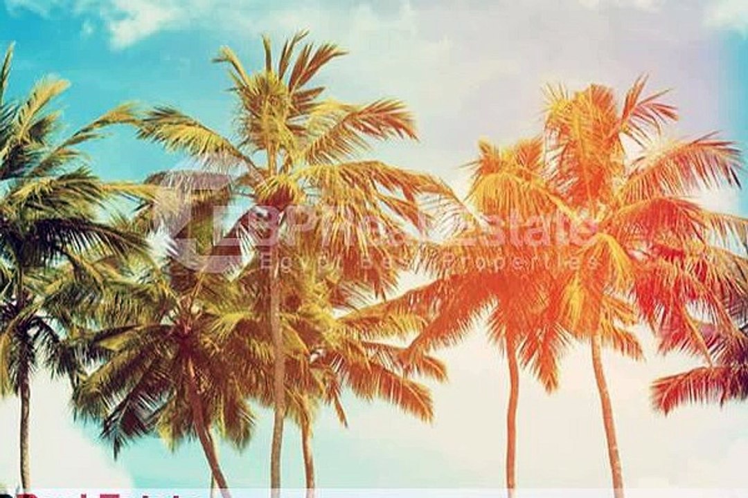 شاليه يرى البحر فى بالى الساحل الشمالى بمقدم 10  و اقساط حتى 8 سنوات