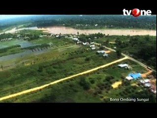 Serunya Berselancar di Derasnya Ombak Sungai Kampar
