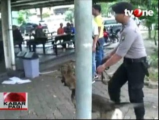 Polda Metro Jaya Razia Narkoba di Kampus Unas