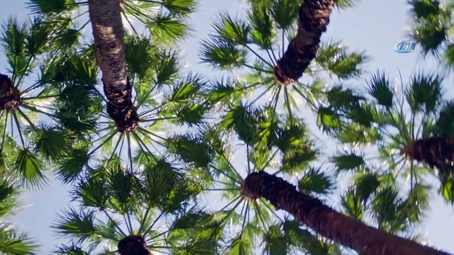 İzmir'in turist sayısında yüzde 42'lik artış