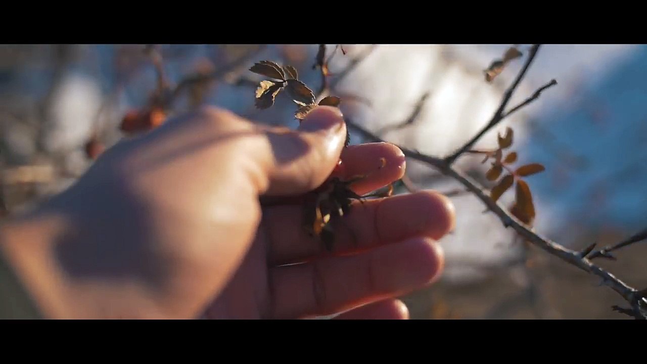 THE FRENCH ALPS - Minute Diary 09