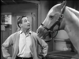 Mister Ed S6 | Anybody Got A Zebra