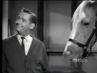 Mister Ed S6 | Ed The Bridegroom