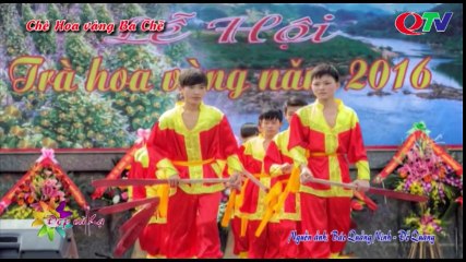 Rực rỡ Chè Hoa vàng Ba Chẽ - QTV