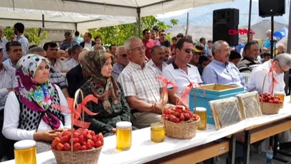 Adana Bal ve Çilek Diyarında Festival Coşkusu