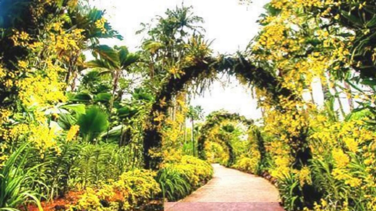National Orchid Garden