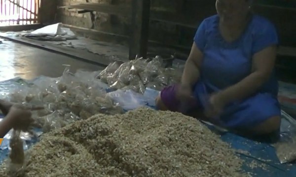 Produsen Tempe Kurangi Pembelian Kedelai Impor