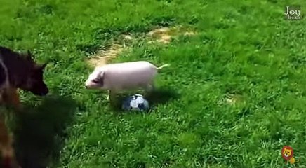 대구출장안마【후불제】Ø1Ø_2179_7343【20대관리사】 대구출장마사지◑전국24시콜걸샵 대구출장마사지코스 대구출장안마㉱대구출장업소㎎대구출장샵ㅞ대구출장콜걸아가씨