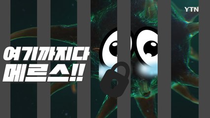 [영상] 메르스 리턴즈, 3년 전 '악몽'의 교훈 / YTN