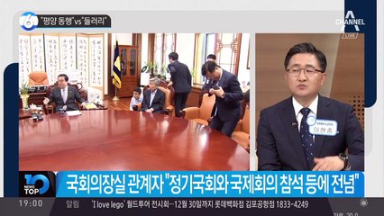 “평양 동행” vs “들러리”